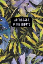 Addresses & Birthdays: Watercolor Blue Tropical Leaves