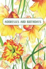 Addresses and Birthdays: Watercolor Daffodils