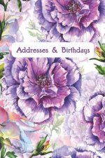 Addresses & Birthdays: Watercolor Purple Peonies