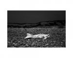 Curious Moaning of Kenfig Burrows