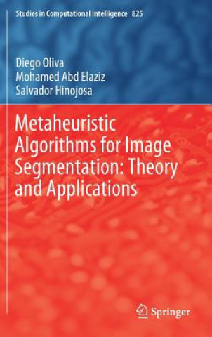 Metaheuristic Algorithms for Image Segmentation: Theory and Applications