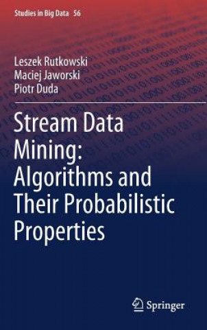 Stream Data Mining: Algorithms and Their Probabilistic Properties