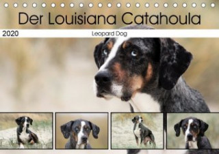 Der Louisiana Catahoula Leopard Dog (Tischkalender 2020 DIN A5 quer)