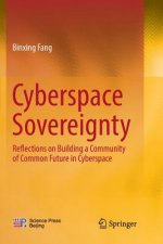 Cyberspace  Sovereignty