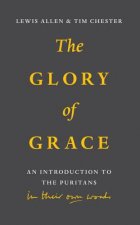 Glory of Grace: An Intro to the Puritans