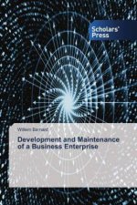 Development and Maintenance of a Business Enterprise