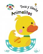TOCA Y SIENTE