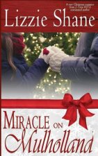 Miracle on Mulholland: A Holiday Romance