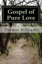 Gospel of Pure Love: Based on the Gospel of John, the Disciple, Adapted and Expanded into a Gospel of the Way