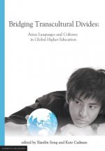 Bridging Transcultural Divides