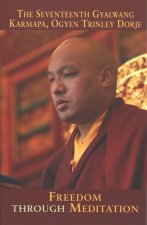 Freedom Through Meditation