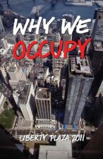 Why We Occupy: Liberty Plaza 2011