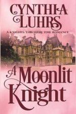 Moonlit Knight