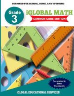 iGlobal Math, Grade 3 Common Core Edition: Power Practice for School, Home, and Tutoring