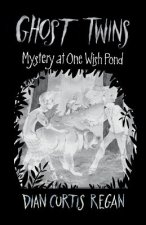 Ghost Twins: Mystery of One Wish Pond