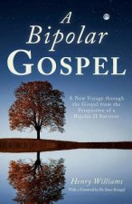 A Bipolar Gospel: A New Voyage through the Gospel from the Perspective of a Bipolar II Survivor