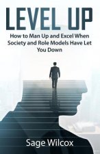 Level Up: How to Man Up and Excel When Society and Role Models Have Let You Down