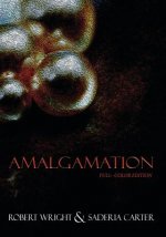 Amalgamation: (Full Color edition)