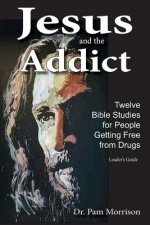 Jesus and the Addict: Twelve Bible Studies for People Getting Free from Drugs