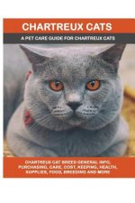 Chartreux Cats: Chartreux Cat Breed General Info, Purchasing, Care, Cost, Keeping, Health, Supplies, Food, Breeding and More Included!