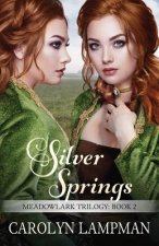 Silver Springs: Meadowlark Trilogy Book 2