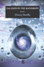 Galaxies in the Raindrops: Poems