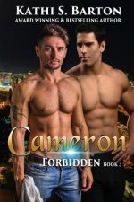 Cameron: Forbidden: M/M Lbgt Erotica Paranormal Romance