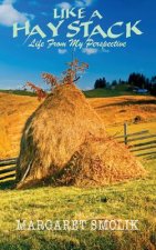 Like a Haystack: Life from my Perspective