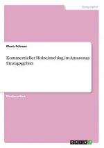 Kommerzieller Holzeinschlag im Amazonas Einzugsgebiet