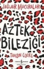 Aztek Bilezigi