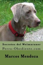 Secretos del Weimaraner: Perro-Obediente.com