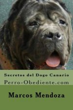 Secretos del Dogo Canario: Perro-Obediente.com