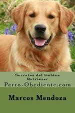Secretos del Golden Retriever: Perro-Obediente.com