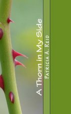 A Thorn in My Side: The Katie Series