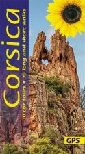 Corsica Sunflower Guide