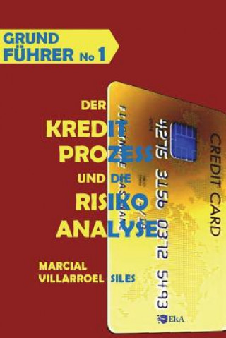 Grundführer Der Kreditprozess Und Die Risikoanalyse