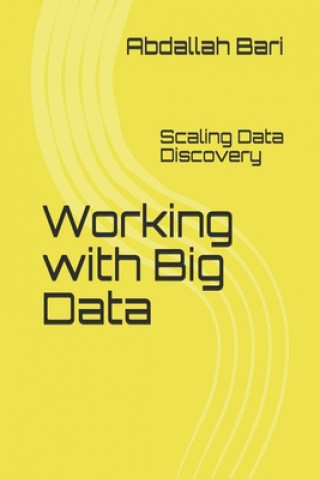 Working with Big Data: Scaling Data Discovery