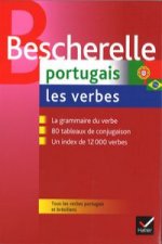 Portugais. Les verbes