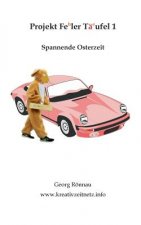 Projekt Feler Taufel 3