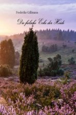 Die falsche Ecke der Heide