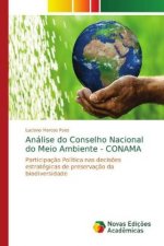 Análise do Conselho Nacional do Meio Ambiente - CONAMA
