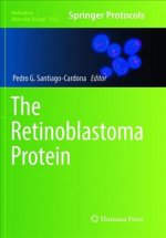 Retinoblastoma Protein