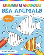 Sea Animals (Trace and Colour): Tracing and Coloring Book of Underwater Sea Creatures, Dolphin, Octopus, Star Fish, Crab, Sea Horse, Turtle and Many M