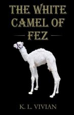 The White Camel of Fez: A Captivating Adventure in Ancient Morocco