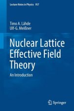 Nuclear Lattice Effective Field Theory
