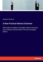 New Practical Hebrew Grammar