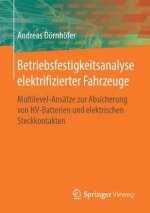Betriebsfestigkeitsanalyse Elektrifizierter Fahrzeuge