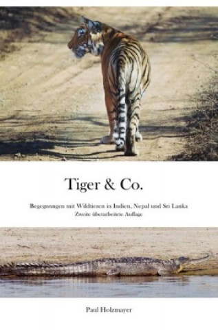 Tiger & Co.