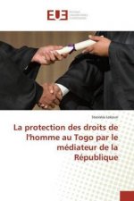 La protection des droits de l'homme au Togo par le médiateur de la République