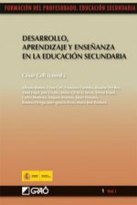 Desarrollo,aprendizaje y enseñanza educacion secundaria